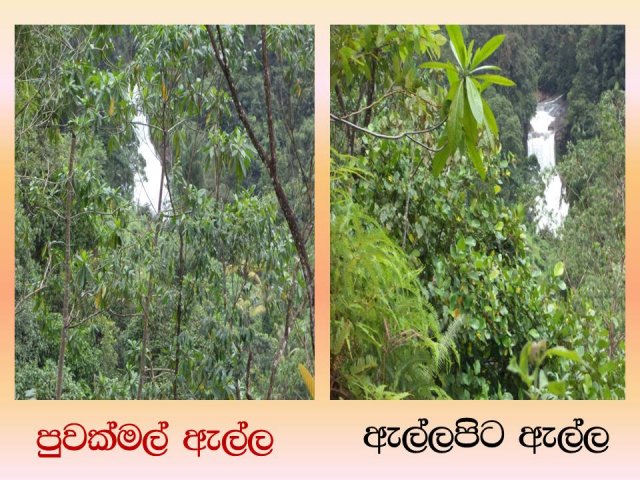 Deraniyagala Pictures